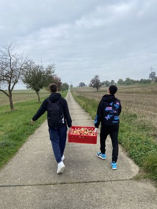 Apfelernte der LES CLEVER BEEs: Abtransport