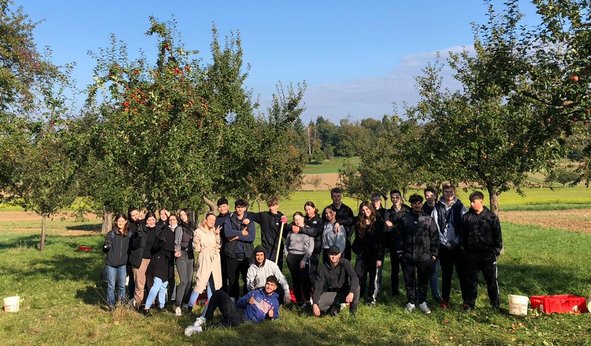 Apfelernte der LES CleverBEEs Herbst 2022